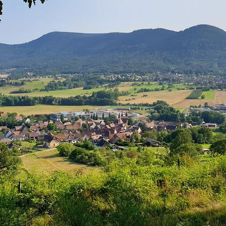 Reverie Du Val Triembach-au-Val エクステリア 写真